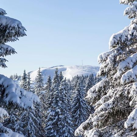 Waldtwin 2 Titisee 外观 照片