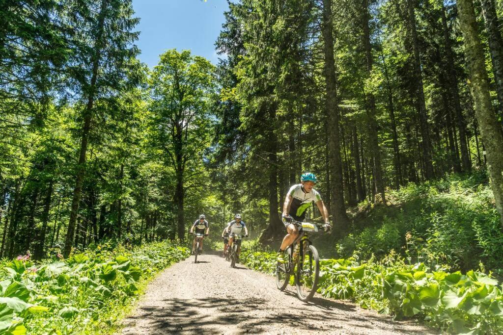 Waldtwin 2 Titisee 外观 照片